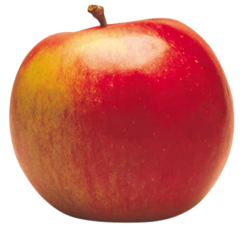 Idared